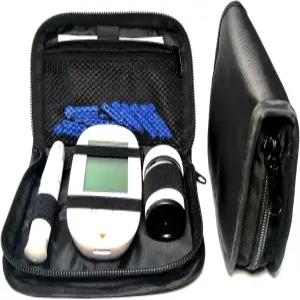FSJLT 여행 케이스 휴대용 키트 혈당 검사 스트립용 소형 모니터 정리 가방 랜싯 랜싱 장치 1
