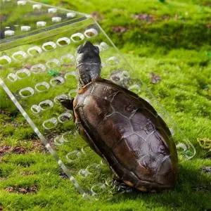 [골드스마일]거북이 육지 쉼터 놀이터 일광욕 아크릴 설치 S