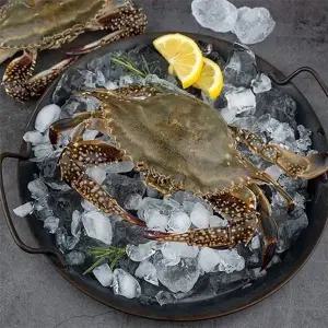 [자연맛남]산지직송 연평도 활 암꽃게 2kg (kg당3-4미/빙장포장)