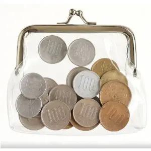 bns 투명 동전 지갑 파우치 여행용 화장품 동전지갑 보관 코인