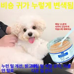 애완견 애완동물 애완 욕조 대형견