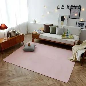 [NS홈쇼핑][르헤브] 뉴엠피사 사계절 보송 카페트 (100x150)[35808302]