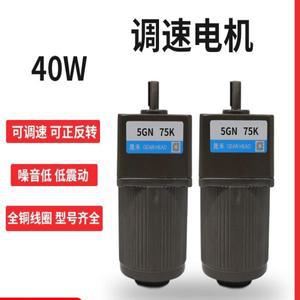 조정 가능한 속도 모터 40W220V 기어 소형