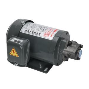 유압 펌프 기어 윤활 오일 T-OP-12A 소형 모터 380V 직선 삽입