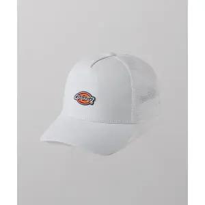 매장정품 DICKIES 디키즈 핸스턴 트러커 메쉬 캡 Cloud DK0A4YV3C58 1373310