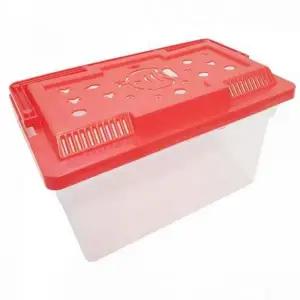 [콩심팥심]플라스틱 이동식 관찰용 공기 휴대용 채집통 순환 어항채집통