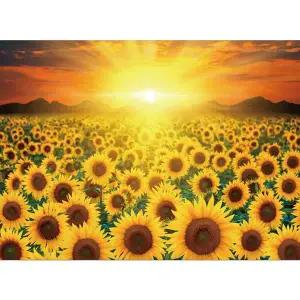 1000피스 BFJ597L8 직소퍼즐 석양과 해바라기 들판 CA1158