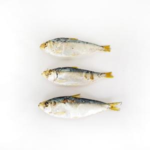 국내산 상급 청 디포리 1.5kg 한박스 다시멸치 밴댕이