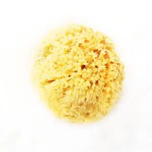 [보리보리/룰라러브]룰라러브 천연해면 스펀지 (바디용/킹) 1+1