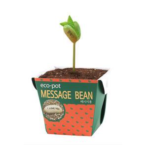 메시지콩 작두콩 종이 화분세트 1p 씨앗키트 배양토 선물 재배 반려식물 새싹 책상 테라스