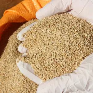 2025년 국산 햇 참깨 국산깨 1kg 생참깨