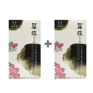 일진 초담 트리트먼트 헤어컬러/새치커버 4.5호 자연다갈색2개