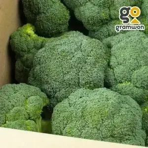브로콜리 국내산 8KG 국산 브로코리