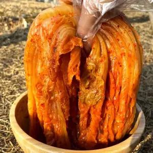 [약이되는밥상]당일생산 저온숙성 전라도 묵은지 신김치 묵은김치 2kg 3kg 5kg