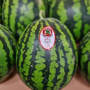 고당도 정품 하우스 수박 5kg 내외