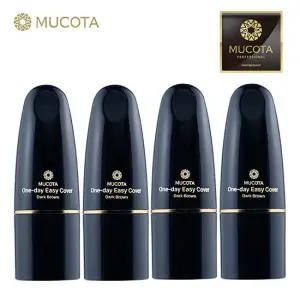 NEW 원데이이지 커버 새치스틱 4개