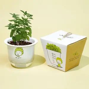 (바질) 그린패밀리 식물키우기/식물/반려/화분/꽃화분/DIY/키트/배양토/실내/텃밭/저면관수/인테리어/소형