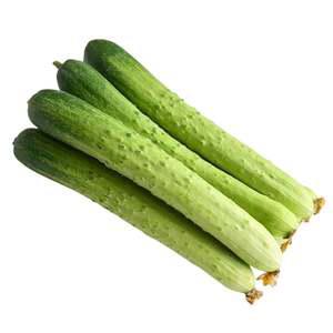 신선한 다다기 백오이 1kg 국내산 오이지 피클 소박이