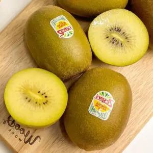 제스프리 골드키위 대과 과일 10개 대과 과일 간식