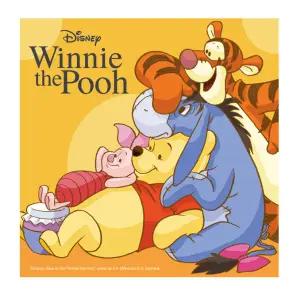 DIY 보석십자수 디즈니 곰돌이 푸우 25x25cm 캔버스형