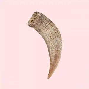 펫쉴드 강아지 수제간식 흑염소 뿔 껌 큰뿔 1ea 4394641