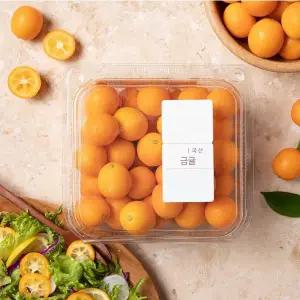 한입 금귤 500g 팩