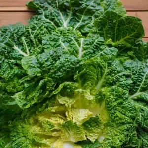 진도 아삭하고 달큰한 제철 봄동 1kg 외