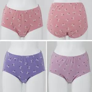 제임스딘 맥시 60수 3매입 여성 면스판팬티 여자 엄마속옷 JHWPCZ21