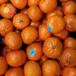가정용 실속형 못난이 만다린 오렌지 5kg
