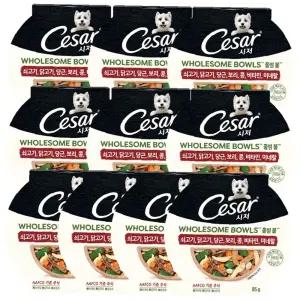 개밥 소고기습식사료 강아지밥 당근 강아지 홀썸볼 85g 10P 사료 소고기 습식 화식