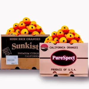 고당도 블랙라벨 썬키스트 퓨어스펙 오렌지 중과 20과