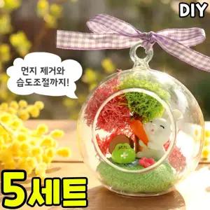 5개묶음 숲속 토끼 테라리움 만들기 클레이 인테리어 모스 봄 DIY 세트 키트 신학기 새학기 미술 수업 교구