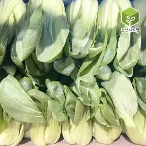 청경채 4kg 2박스 묶음