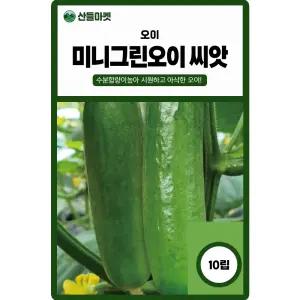 미니그린 오이 씨앗 10립 흰가루병 노균병에 강한 수분 많은 오이씨 종자