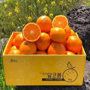 동명 달고부드러운 제주 진지향 신품종