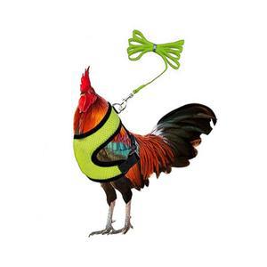 오리 거위 리드줄 동물 애완동물 미디엄 암탉 토끼 반려 콜덕용품 Lansiger 견인줄