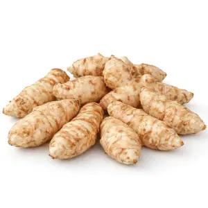 2026년 국내산 돼지감자 종근 씨앗 1kg 재배용 텃밭용 뚱딴지 씨감자 화분재배 노지재배 텃밭재배