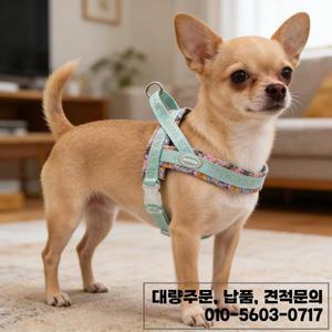 새들 디자인 노풀 도그 하네스 - 소형 및 중형견 비숑프리제 코기 산책용 가볍고 통기성 좋은 조절 가능한