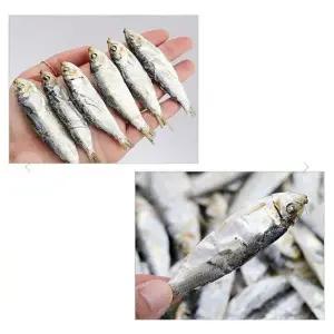 VB M2F6E2R8 국물용멸치 디포리 육수 A급 5-7 사이즈