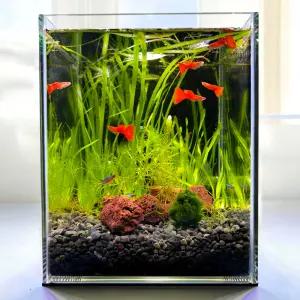 그로비타 무환수 구피 베타 물고기 키우기 미니 자동청소어항 20하이큐브 세트 원스팜
