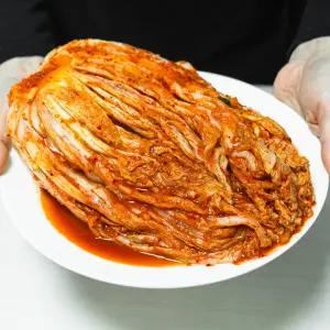 오늘담근 국내산 배추김치 포기김치 1kg~5kg
