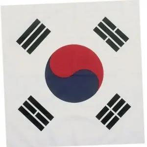 태극기 기념 응원 용 응원용 대형 손수건