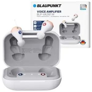 블라우풍트 음성증폭기