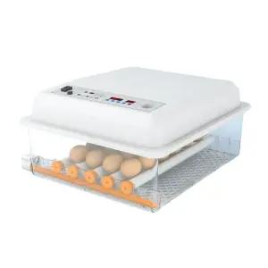 병아리 달걀 부화기 키우기 자동 닭산란통 메추라기