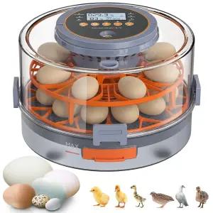 자동 회전 습도 센서 5가지 사전 설정 모드 관찰용 투명 뚜껑이 있는 18개의 알 부화용 달걀 인큐베이터