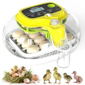 부화 알을 위한 16개의 인큐베이터 자동 물 보충 회전 온도 조절 습도 디스플레이 LED 캔들러 알람 외부