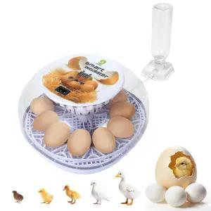1세대 - 12개의 달걀 자동 인큐베이터 리필 기능이 있는 안정적인 습도 온도 조절 회전 캔들러 부화하는 닭