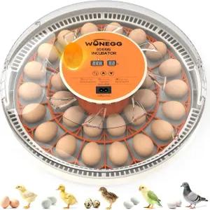 부화란 인큐베이터 자동 계란 회전 온도 제어 및 습도 표시 기능이 있는 30개의 닭 메추라기 앵무새 알을