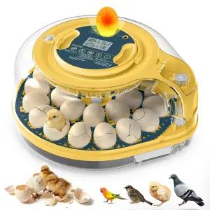 부화 알을 위한 인큐베이터 온도 및 습도 조절 기능이 있는 26개의 오토 터너 가능한 캔들러 워터 리필