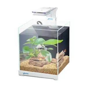 그로비타 일체형 사각수조 ZGT-S20